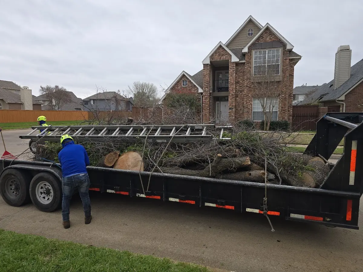 Expert Tree Fertilization with proper safety equipment in Bard